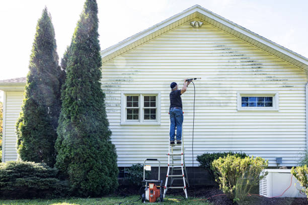 Best Brick and Stone Cleaning in Red Lick, TX